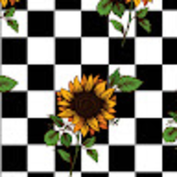 evelynellis0607
